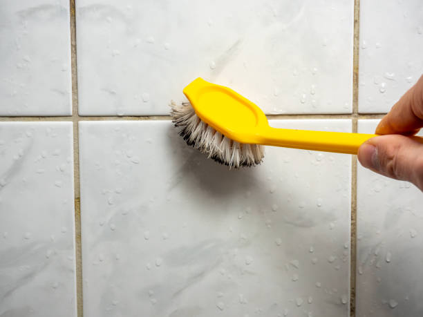 Best Emergency Mold Removal  in East Bethel, MN