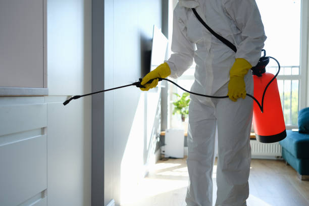 Best Mold Damage Repair  in East Bethel, MN