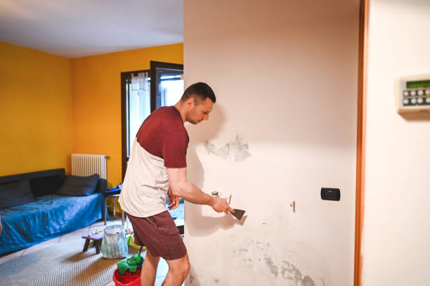 Best Office Mold Removal Services  in East Bethel, MN